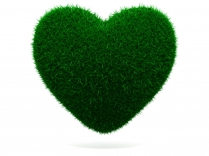 davanti counselling green grass heart
